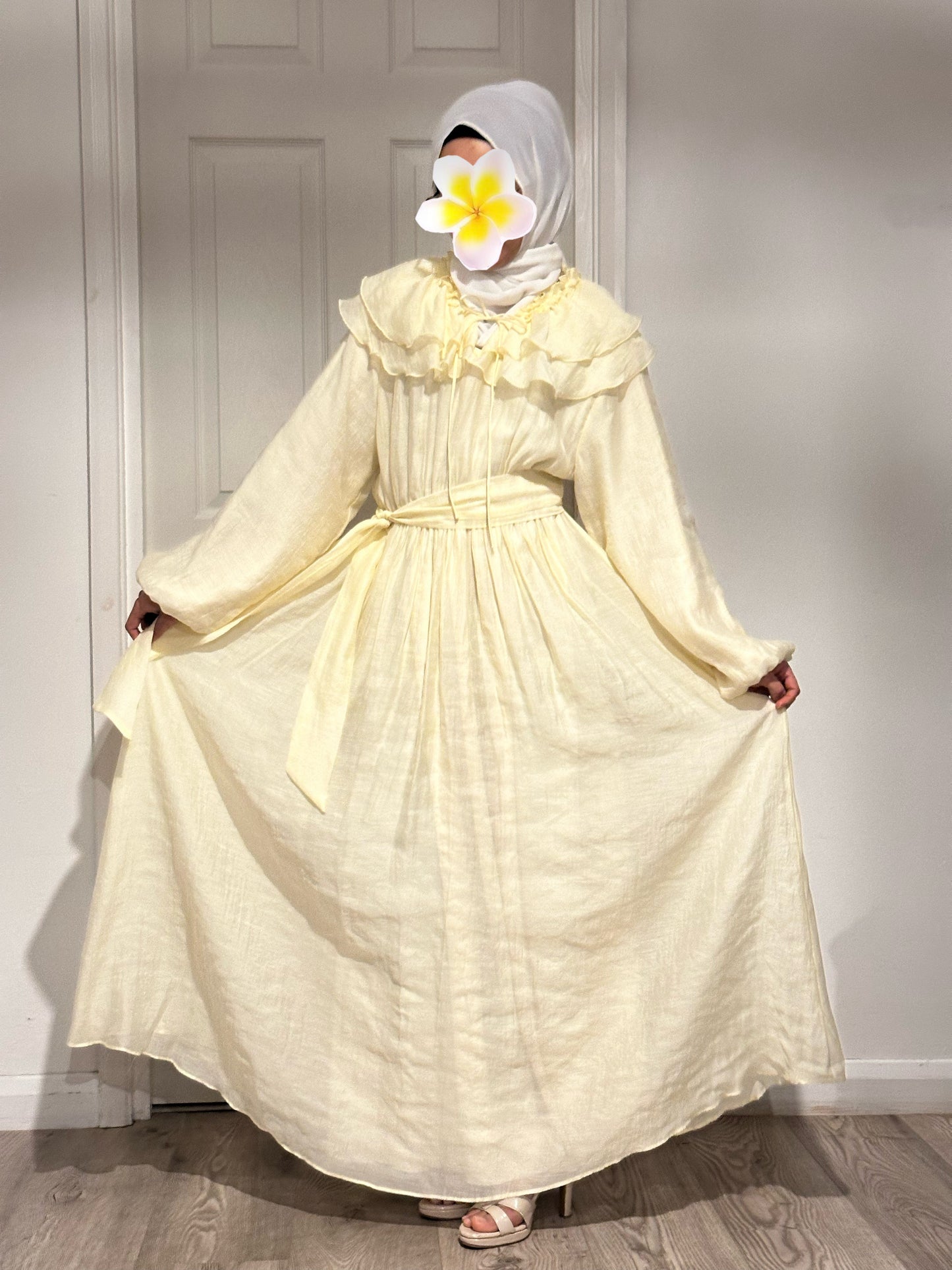 Ruffle Collar Dress